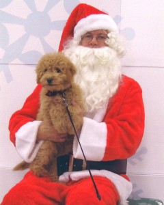 Noah with Santa 2012